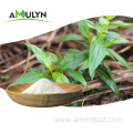 Andrographis paniculata extract andrographolide 98%